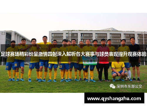 足球赛场精彩纷呈激情四射深入解析各大赛事与球员表现提升观赛体验