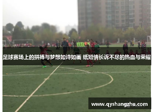 足球赛场上的拼搏与梦想如诗如画 纸短情长诉不尽的热血与荣耀