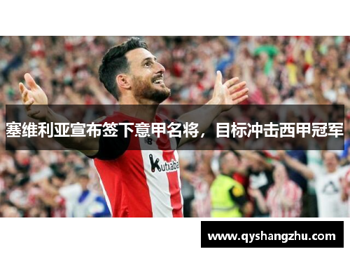 塞维利亚宣布签下意甲名将，目标冲击西甲冠军