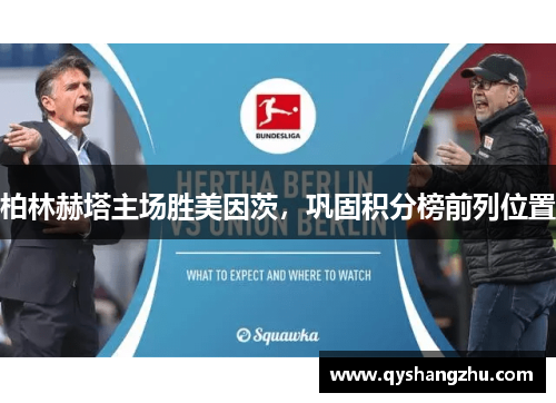 柏林赫塔主场胜美因茨，巩固积分榜前列位置