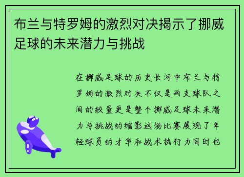 布兰与特罗姆的激烈对决揭示了挪威足球的未来潜力与挑战
